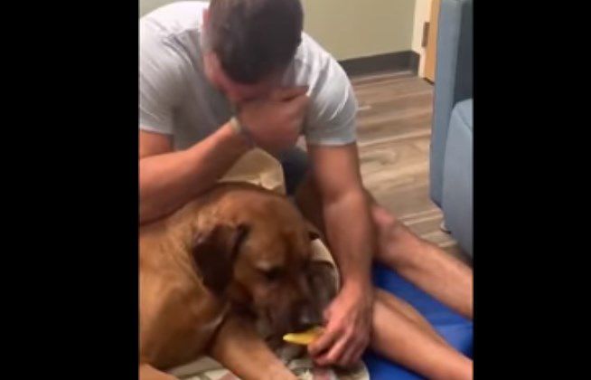 Famoso beisbolista rompe en llanto al alimentar por última vez a su amado perro