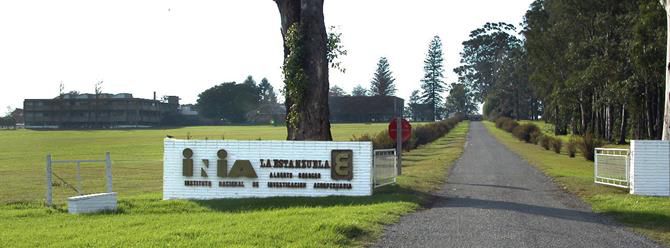 Campo de innovación