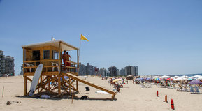 Para gustos, los colores