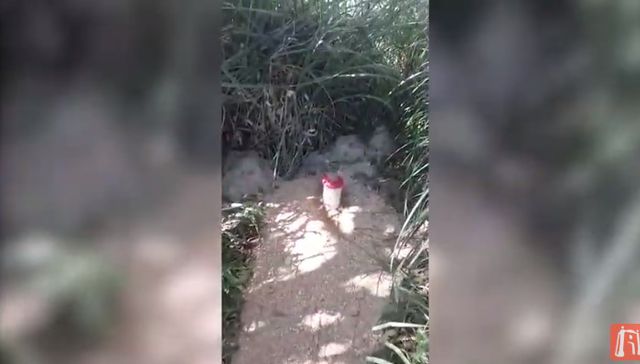 Tecnología de Punta