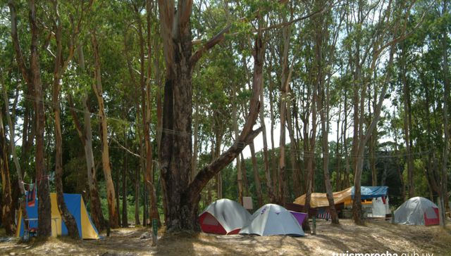 Más cerca del glamping