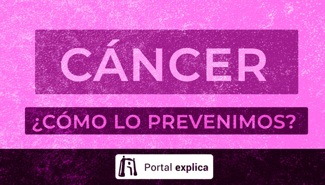 Portal Explica
