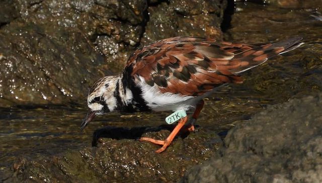 Por qué volvías cada verano