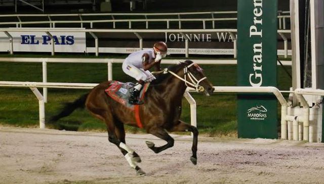 La patria se hizo a caballo