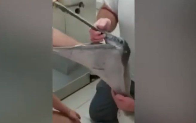 Le suenan las tripas