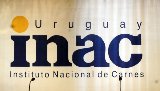 No era por ahí, rey