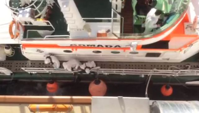 La vida de los otros