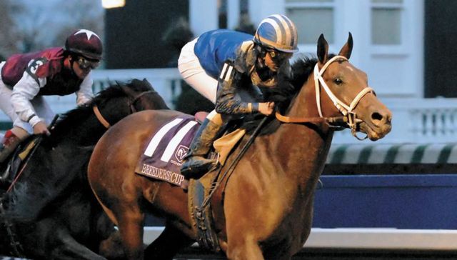 La conquista de la gloria