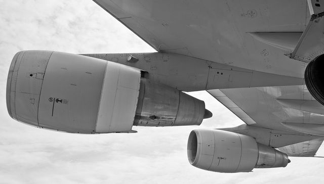 Andate por donde viniste