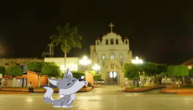 Aullidos en la noche