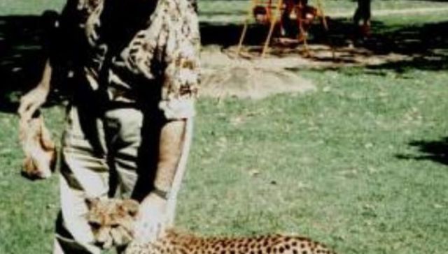 Hello cool cats and kittens