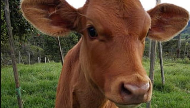 Emergencias de otro tipo