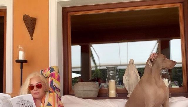 Hola Susana, te confundiste