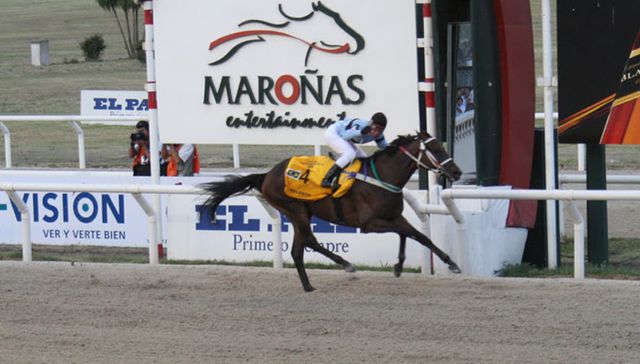 El caballo del pueblo