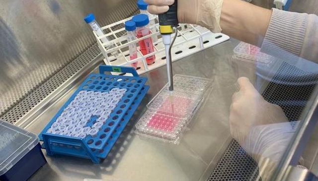 Es cuestión de probar