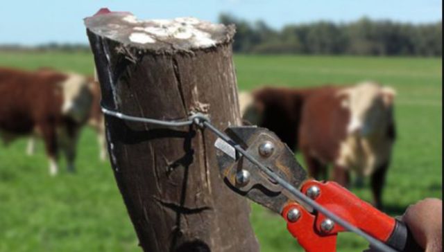 Las penas son de nosotros