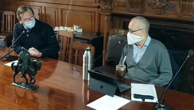 Como hueso de bagual