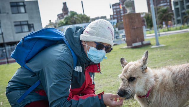 Pero tampoco te hagas el loco