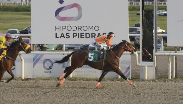 Se abren las gateras