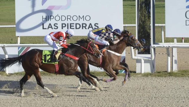 Exitoso retorno del turf