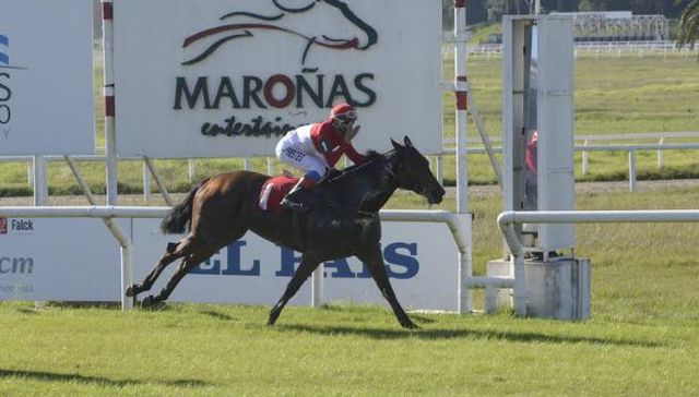 Sigue siendo favorito