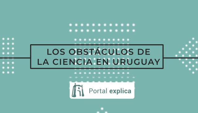 Portal Explica