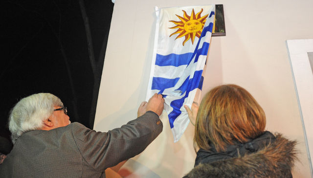 Remoción de placa