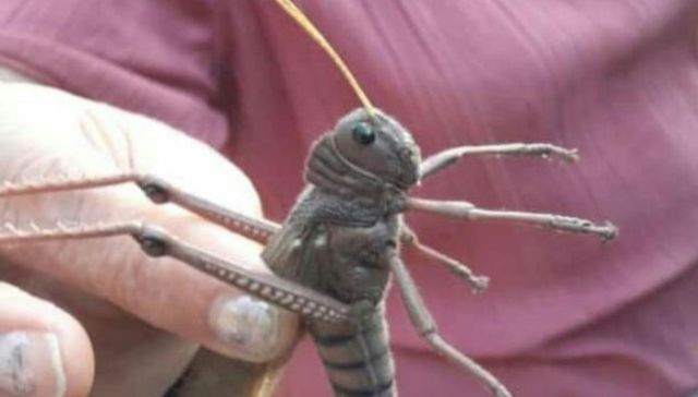 Una manga de la primera a la última