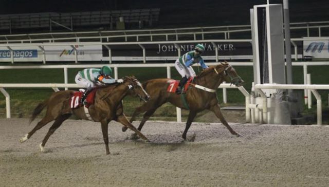 Para chuparse los dedos