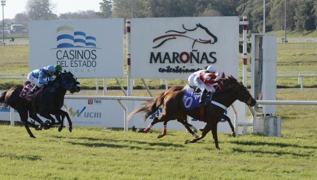 Sin importar el frío