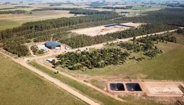 Bolsita de los recuerdos