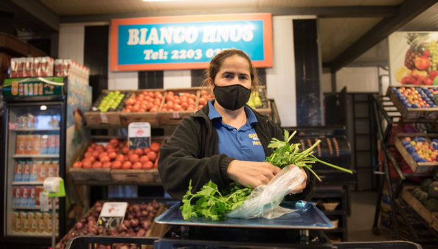 El viento trajo de todo