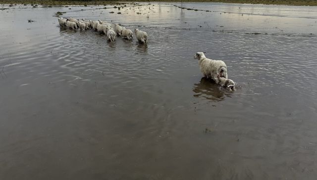 Lo que el agua se llevó