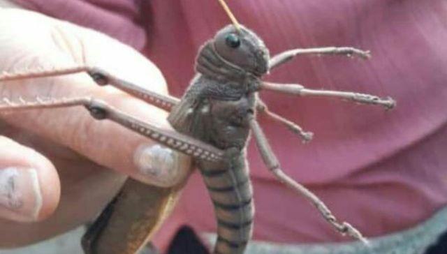 Una manga de la primera a la última