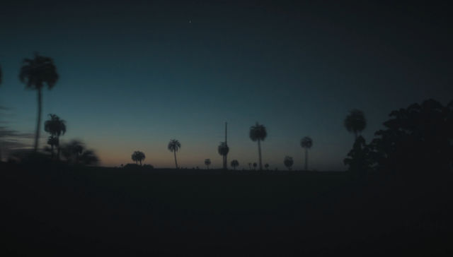 Canción del camaronero