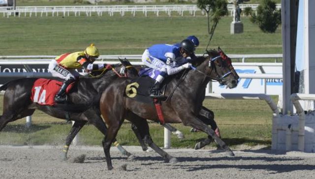 Para meter la trifecta