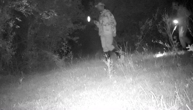 ¿Otra vez, Homo sapiens?