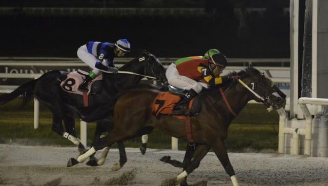 Festeja el pueblo burrero