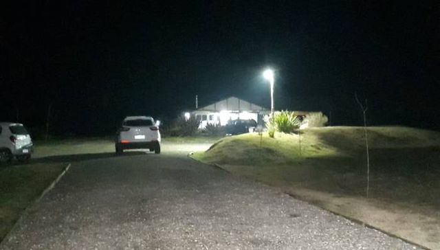 Cuando el pájaro vuela