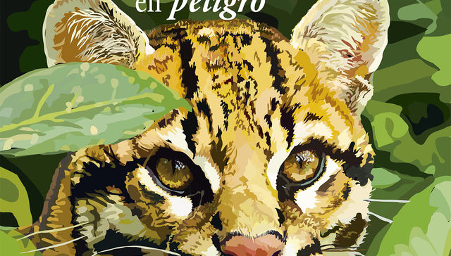 Todo va a salir mejor