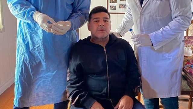 Grandes como el hisopo