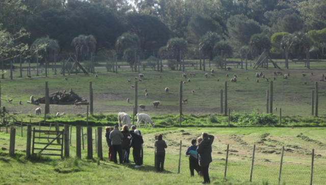 Qué lindo volverte a ver