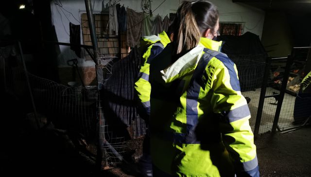 Una escena que se repite