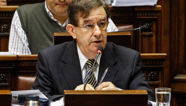 Voces solo voces como ecos