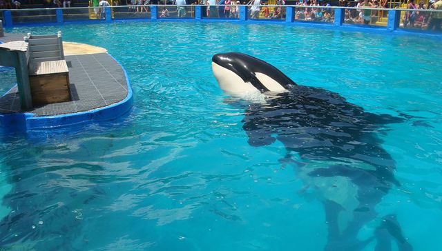 Liberdade pra dentro da cabeça