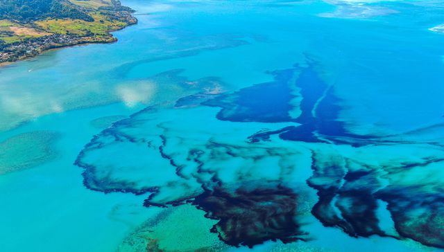 Rompiendo el paraíso