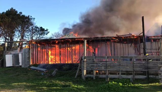 No pudo ponerlas en remojo