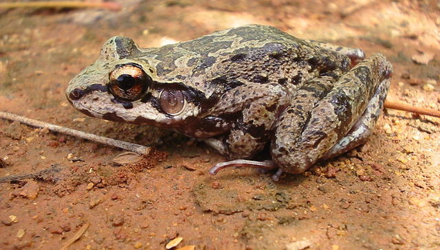 Pero a vos que no se te ocurra