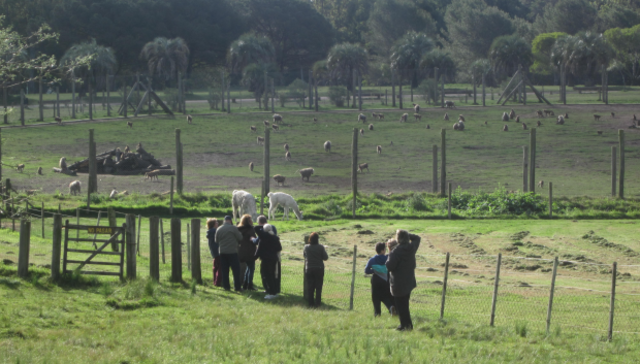 Qué lindo volverte a ver