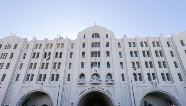 Con un paquete en el avión